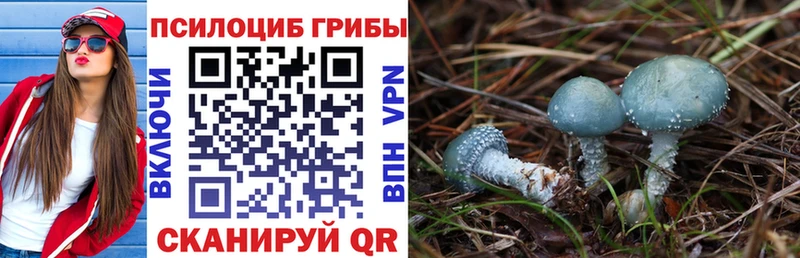 наркошоп  ОМГ ОМГ маркетплейс  Галлюциногенные грибы ЛСД  Карпинск 